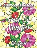Color By Number Adult Coloring Book: with Fun, Easy, and Relaxing Coloring Pages (Color by Number Coloring Books for Adults)