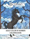 Adult Color By Number Coloring Book: Stress Relieving Design and Relaxing Coloring Pages