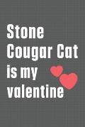 Stone Cougar Cat is my valentine: For Stone Cougar Cat Fans