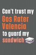 Can't trust my Gos Rater Valencia to guard my sandwich: For Gos Rater Valencia Dog Breed Fans