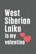 West Siberian Laika is my valentine: For West Siberian Laika Dog Fans