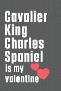 Cavalier King Charles Spaniel is my valentine: For Cavalier King Charles Spaniel Dog Fans