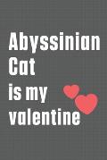 Abyssinian Cat is my valentine: For Abyssinian Cat Fans