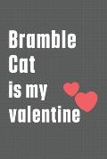 Bramble Cat is my valentine: For Bramble Cat Fans