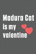 Madura Cat is my valentine: For Madura Cat Fans