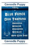 Cavoodle Puppy Training By Blue Fence Dog Training, Obedience - Behavior, Commands - Socialize, Hand Cues Too! Cavoodle Puppy