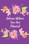 Bloom Where You Are Planted: Guided and Mindfulness Self-Care Prompted