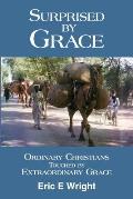Surprised by Grace: Ordinary Christians Touched by Extraordinary Grace
