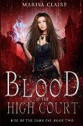 Blood of the High Court: Rise of the Dark Fae, Book 2 (Veiled World)