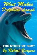 What Makes Dolphins Laugh: The Story of 'Boy'