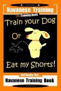 Havanese Training, Dog Training Book, Train Your Dog or Eat My Shorts Not Really But... Havanese Training Book