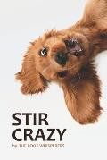 Stir Crazy: A Lockdown Anthology