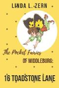 The Pocket Fairies of Middleburg: 16 Toadstone Lane