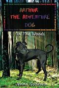 Arthur The Adventure Dog: In The Woods