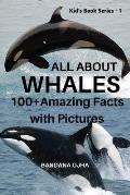 All about Whales: 100+ Amazing Facts with Pictures