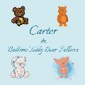 Carter & Bedtime Teddy Bear Fellows: Short Goodnight Story for Toddlers - 5 Minute Good Night Stories to Read - Personalized Baby Books with Your Chil