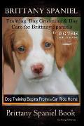 Brittany Spaniel Training, Dog Grooming & Dog Care for Brittany Spaniels By D!G THIS DOG Training, Dog Training Begins From the Car Ride Home, Brittan