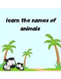learn the names of animals,: activitiy book for children