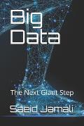 Big Data: The Next Giant Step