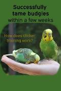 Successfully tame budgies within a few weeks: How does clicker training birds with budgerigars work? A step-by-step guide for budgies taming and parak