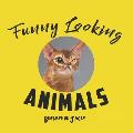 Funny Looking Animals: Funny animal faces, made to smile, look funny or just look weird.