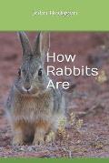 How Rabbits Are