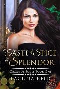 A Taste of Spice and Splendor: Circle of Souls, Book 1: (A steamy contemporary why-choose romance with a past lives paranormal twist)