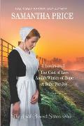 The Amish Bonnet Sisters series: 3 books-in-1. The Cost of Lies: Amish Winter of Hope: A Baby for Joy: Amish Romance Collection