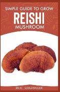 Simple Guide to Grow Reishi Mushroom: The Nitty Gritty of Cultivating Reishi Mushrooms Personally
