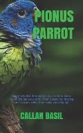 Pionus Parrot: Every detailed information you need to know about the pionus parrot. Their behaviors, feeding and reasons while they m