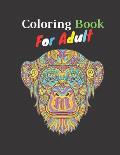 Coloring Boook For Adult: Easy coloring book with 80 Pages Size 8.5 11