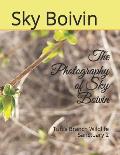 The Photography of Sky Boivin: Tuft's Branch Wildlife Sanctuary 2