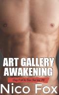 Art Gallery Awakening: A Gay Public Sex Story