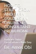 How to Start, Grow and Earn Gold as an Online - E-Consultant- From Home: Profitable Online Consultantancy Made Easy