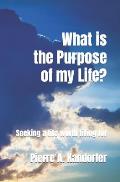 What is the Purpose of my Life?: Seeking life worth living for