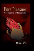 Pure Pleasure: A Collection of Erotic Interludes