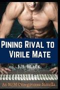 Pining Rival to Virile Mate: A Nonshifter Omegaverse Mpreg Rivals-to-Mates Erotic Story