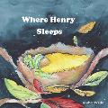 Where Henry Sleeps