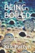 Being Boiled: The truth about the passion, madness and lies behind the best restaurants