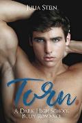 Torn: A Dark High School Bully Romance