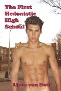 The First Hedonistic High School: A Teenage Romance Novel