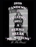 2020 Pandemic & Politics 2021 A Bernie Break Mr. Mittens