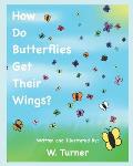 How Do Butterflies Get Their Wings?