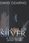 A Flash of Silver: A Jono Grey Short Story