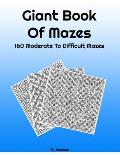Giant Book Of Mazes: 160 Moderate To Difficult Mazes