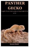 Panther Gecko: Complete Owner's Guide on How to Train Panther Gecko as Pet