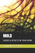 Mold: Causes & Effects in Your Home