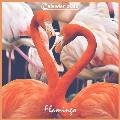 Flamingo 2022 Calendar: 12 Month Calendar for Flamingo's Lover