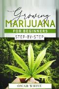 Growing Marijuana for Beginners: Step-by-Step in 10 STEPS