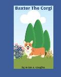Baxter The Corgi